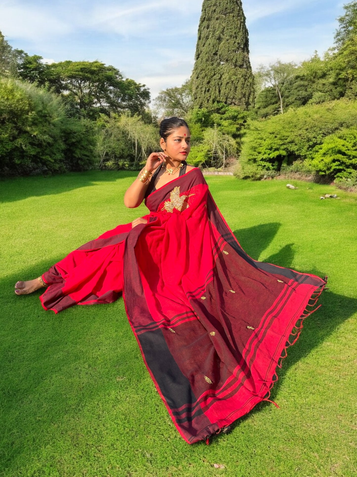 Fire Phoenix Embroidered Saree