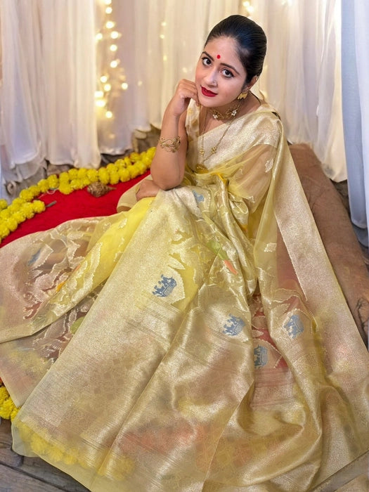 Iravati Cream Gold Organza Benarasi