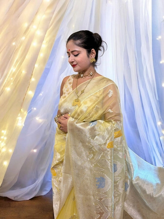 Iravati Cream Gold Organza Benarasi