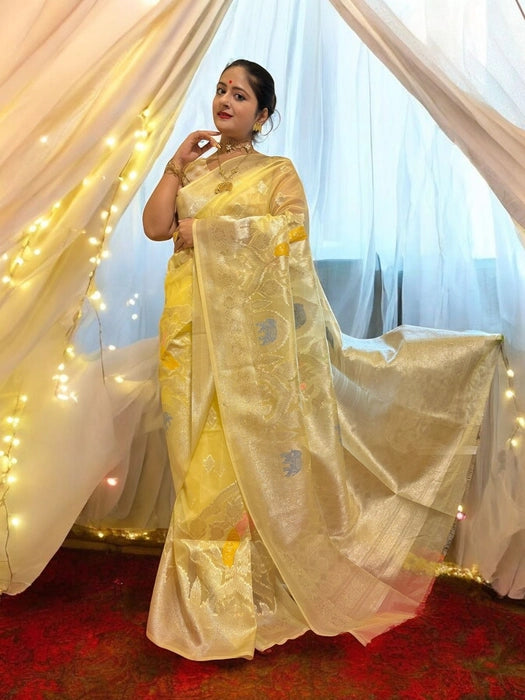 Iravati Cream Gold Organza Benarasi