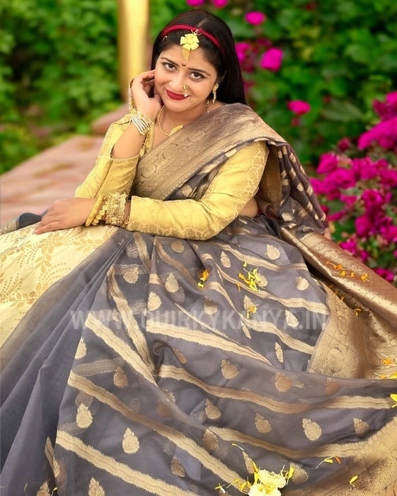 Vibhuti Organza Benarasi Saree - Grey