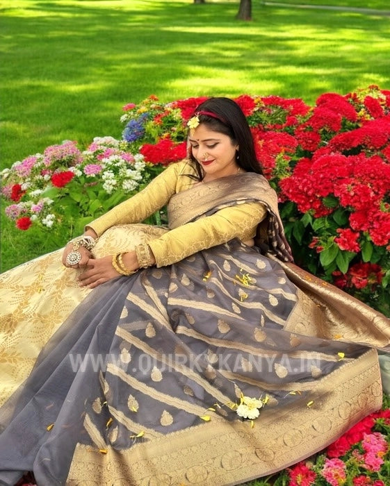 Vibhuti Organza Benarasi Saree - Grey
