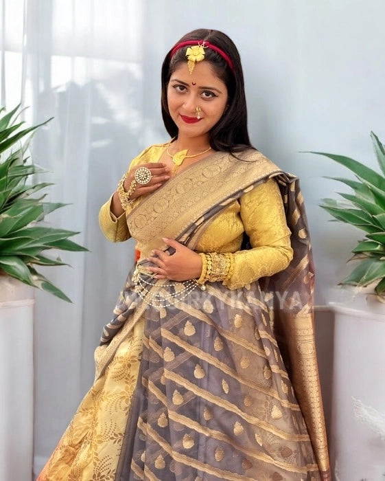 Vibhuti Organza Benarasi Saree - Grey