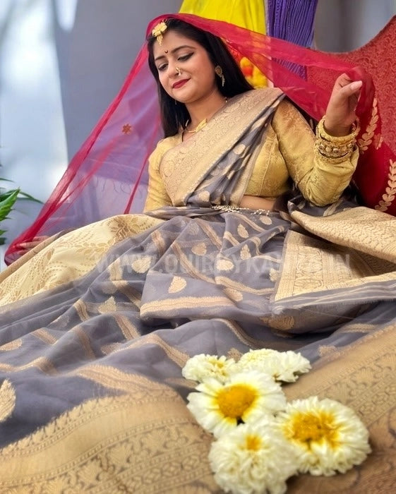 Vibhuti Organza Benarasi Saree - Grey