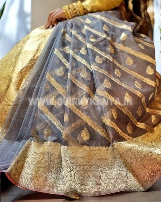 Vibhuti Organza Benarasi Saree - Grey
