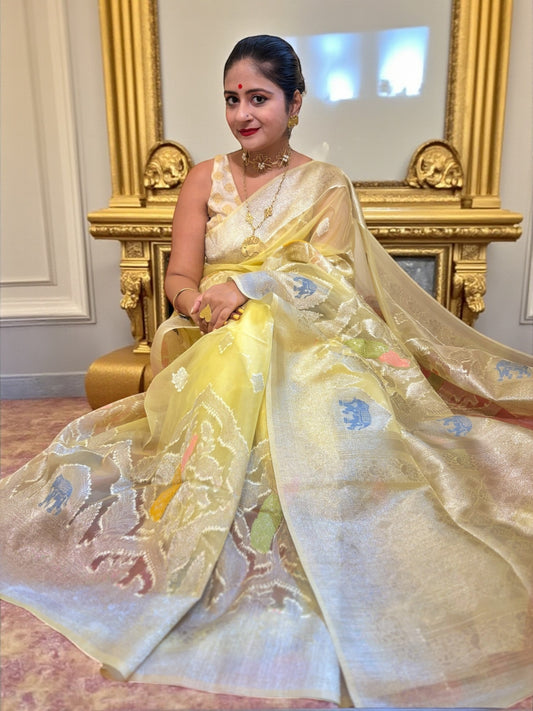 Iravati Cream Gold Organza Benarasi