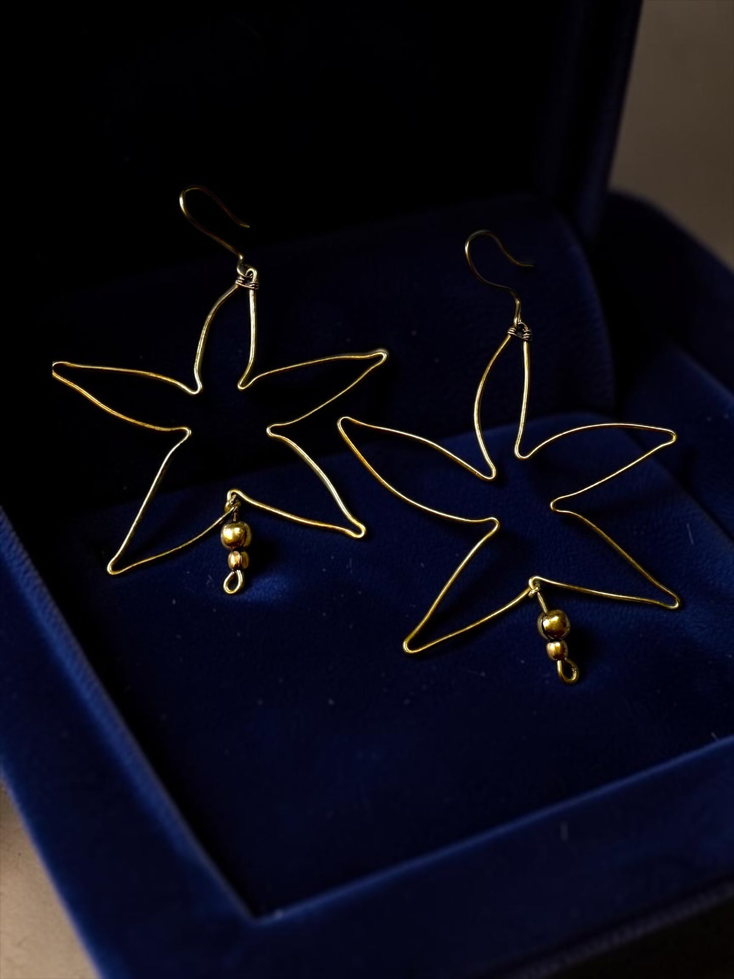 Big Star Brass Dangler Earrings