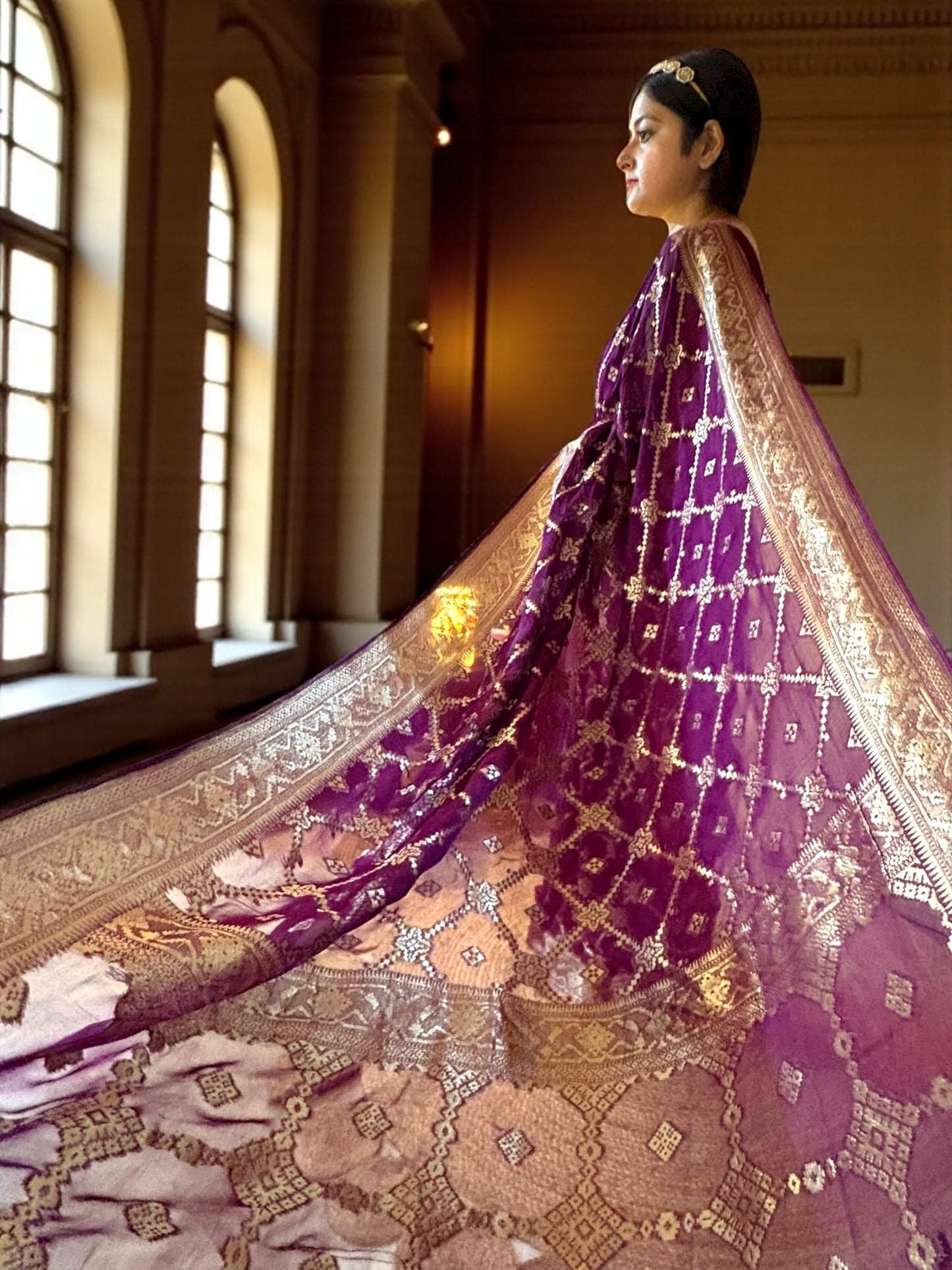 Full Jaalwork Khaddi Georgette Benarasi Saree