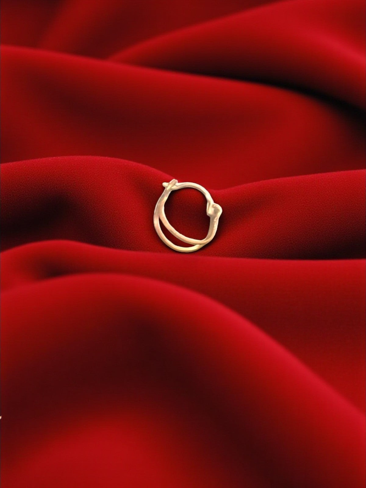 Double Circle Brass Nosering (Piercing)