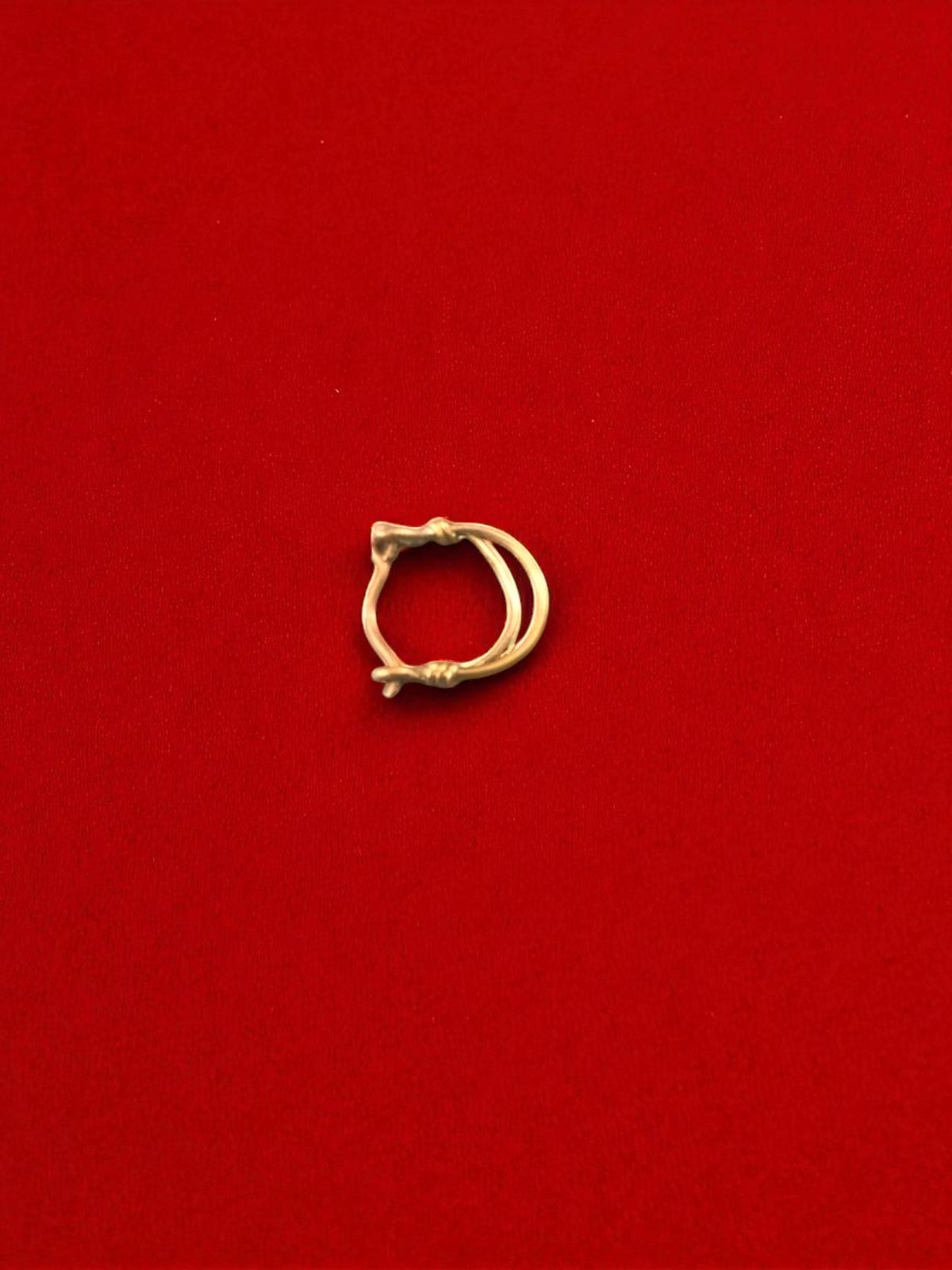 Double Circle Brass Nosering (Piercing)