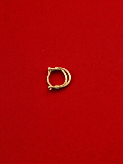 Double Circle Brass Nosering (Piercing)