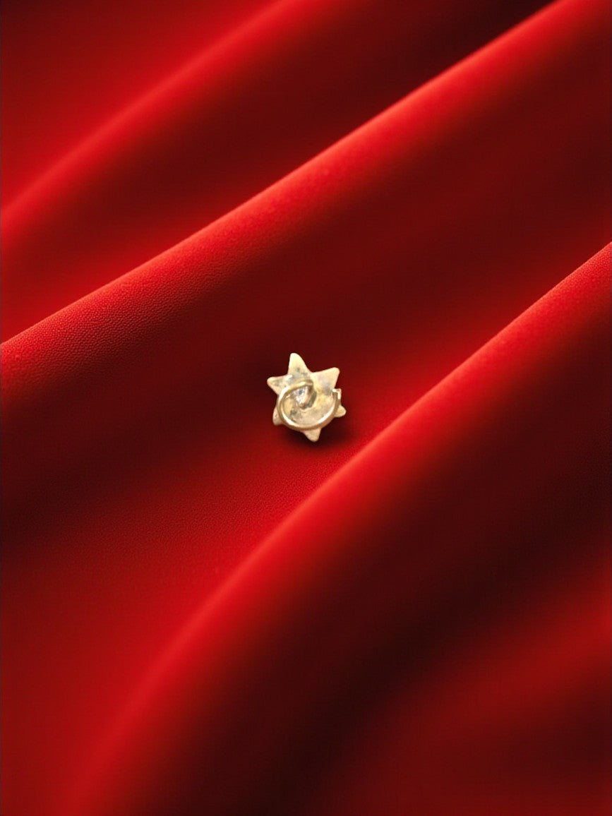 Super Star Brass Nosepin (Piercing)