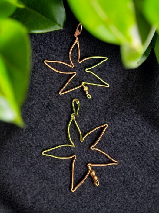 big-star-brass-earrings